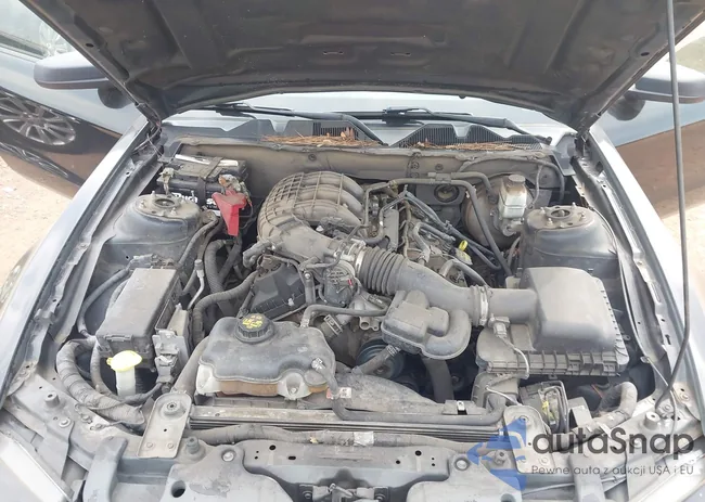 1ZVBP8AM3D5259141: 44419230