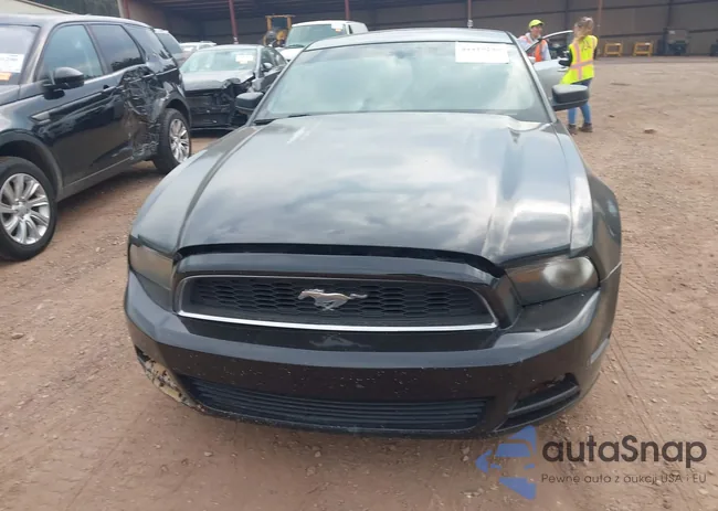 1ZVBP8AM3D5259141: 44419230