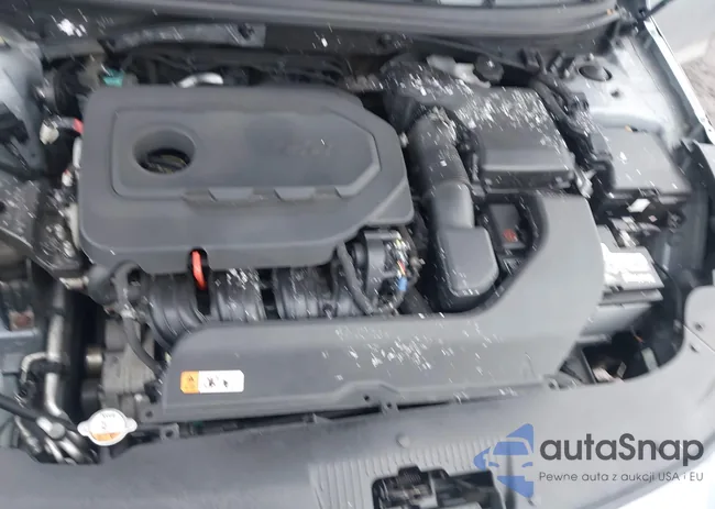 5NPE24AF1HH574180: 44419892