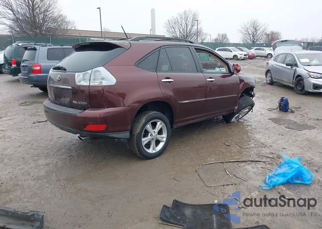 JTJHW31U582862762: 44419929