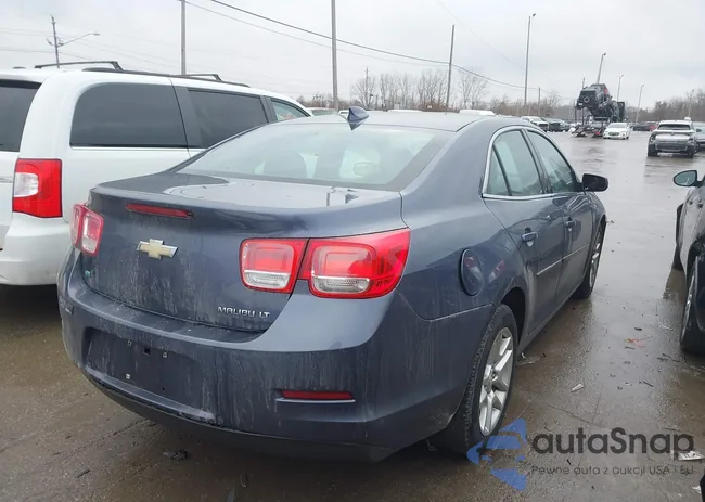 1G11C5SL1FF286410: 44419981