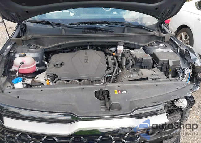 5XYK6CDF7RG138486: 44420080