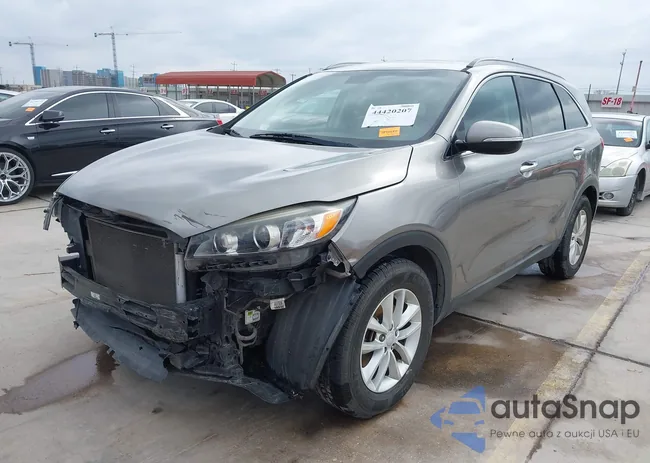 5XYPG4A30GG093858: 44420207