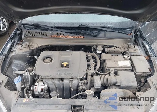 3KPF24AD8ME310567: 44420249