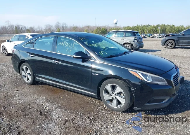 KMHE34L14GA019983: 44420331