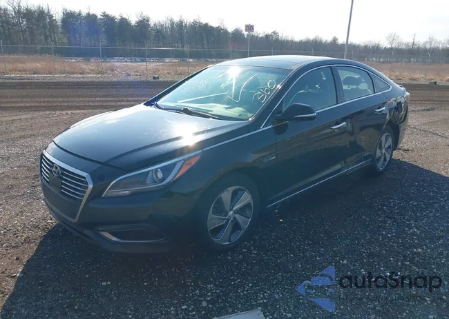 KMHE34L14GA019983: 44420331