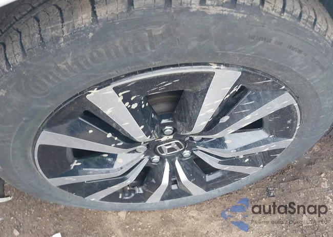 19XFL1H77RE009551: 44419424