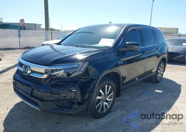 5FNYF5H5XMB038843: 44419528