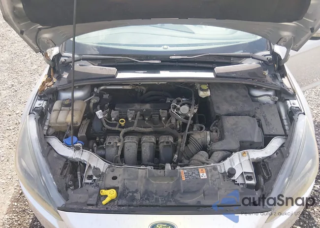 1FADP3M29HL218481: 44419685