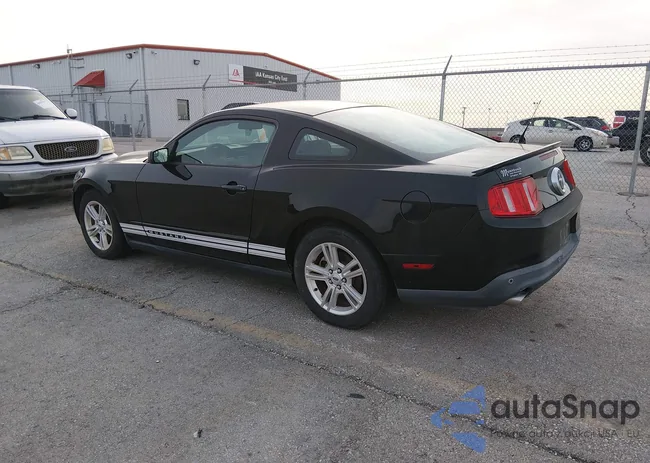 1ZVBP8AM7C5221748: 44420876