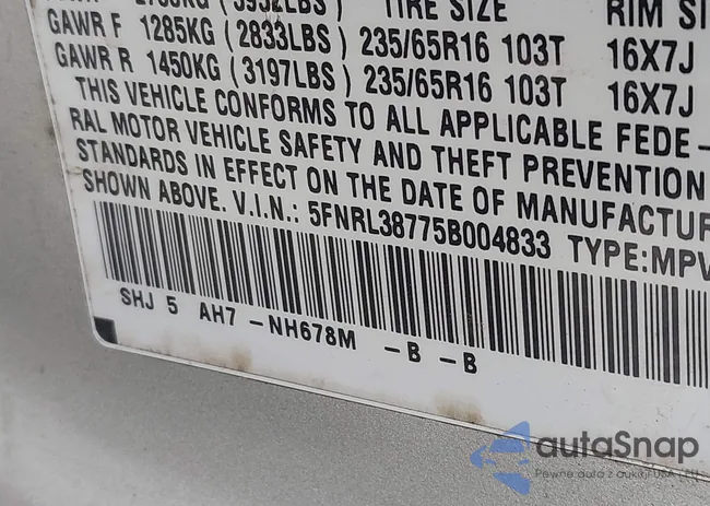 5FNRL38775B004833: 44421873