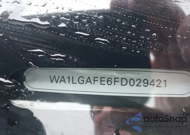 WA1LGAFE6FD029421: 44421592