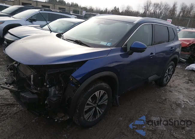 5N1AT3BBXMC803667: 44421651