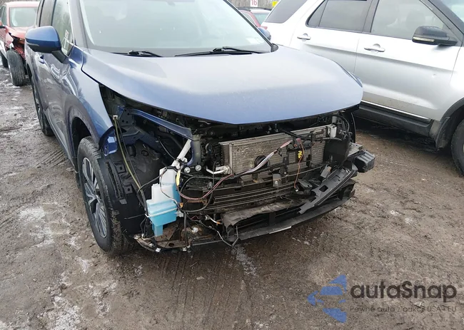 5N1AT3BBXMC803667: 44421651