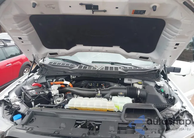 1FTFW5LD3RFC08341: 44421719