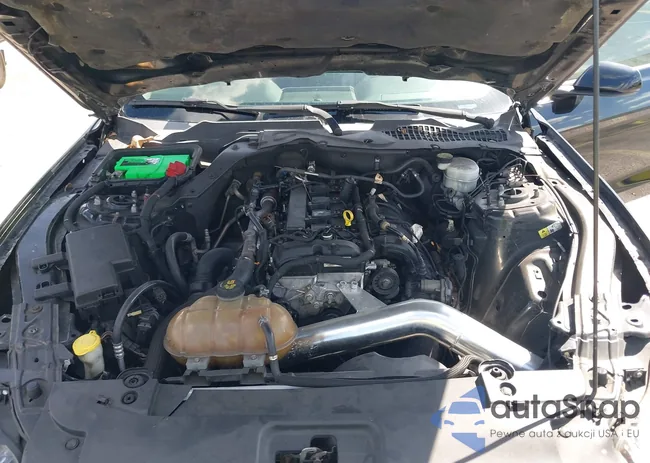 1FA6P8TH2F5323358: 44423031