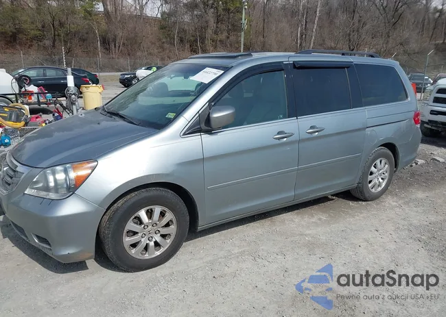 5FNRL38658B072138: 44422790