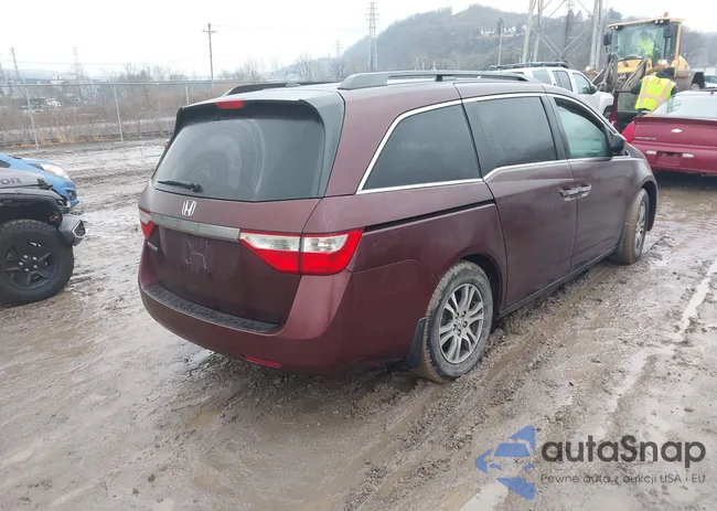 5FNRL5H60BB075161: 44423509