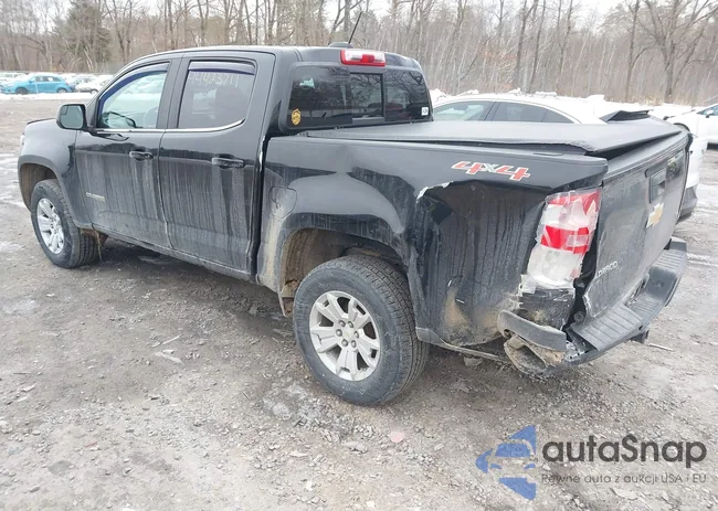 1GCGTCE38G1314011: 44423711