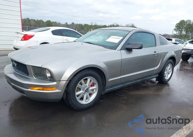 1ZVHT80N385196712: 44424906