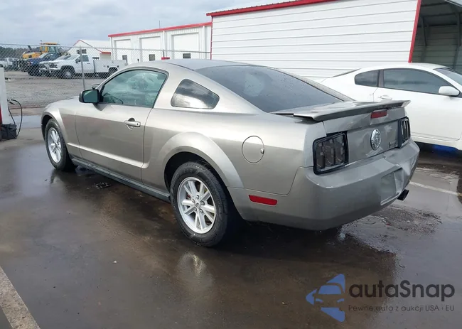 1ZVHT80N385196712: 44424906