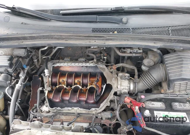 5FNRL38465B003758: 44425042