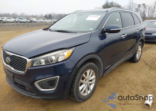 5XYPGDA51HG335382: 44425054