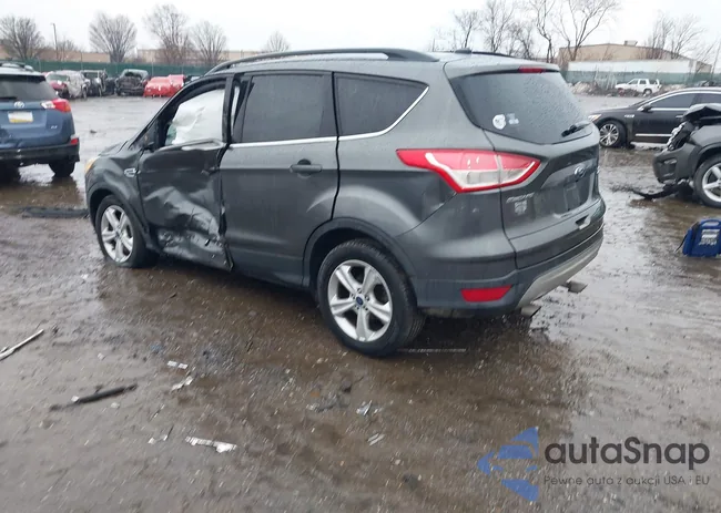 1FMCU9GX0FUB35632: 44425310