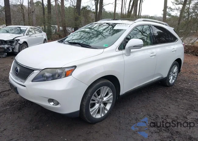 JTJBC1BA1A2024287: 44424761