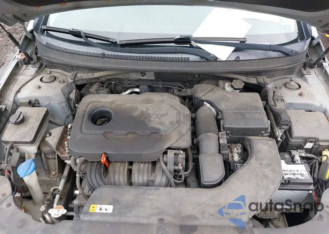 5NPE24AF8FH019322: 44426835