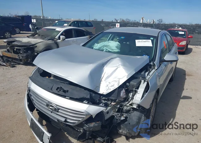 5NPE24AF8GH295520: 44428094