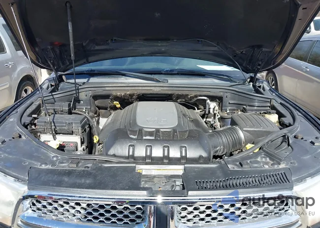 1D4SD5GT3BC508803: 44428323