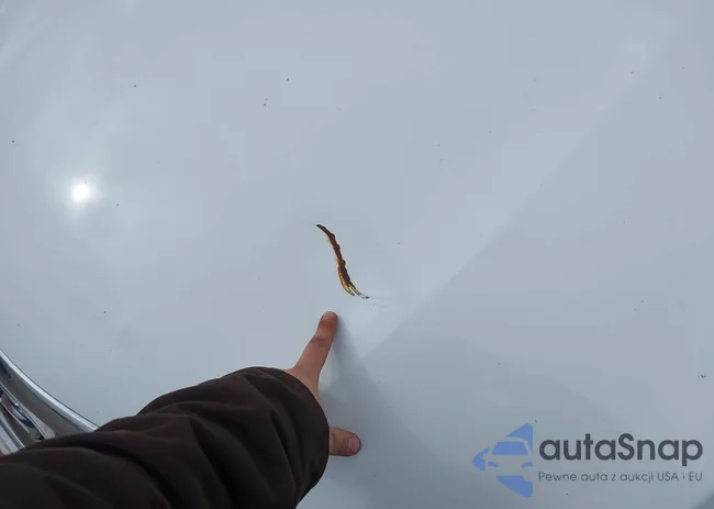 5NPEC4AC1BH040123: 44428763