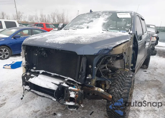 1FTFW1E1XKFA84599: 44429131