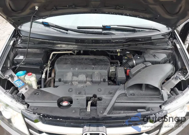 5FNRL5H69FB097603: 44428585