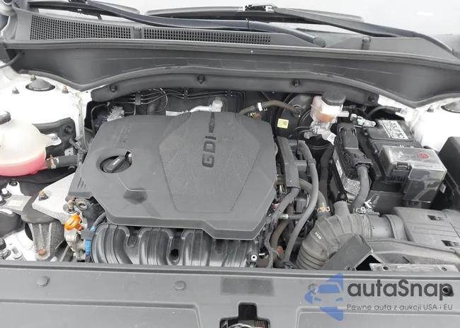 5NMS1DAJ9MH366467: 44428595