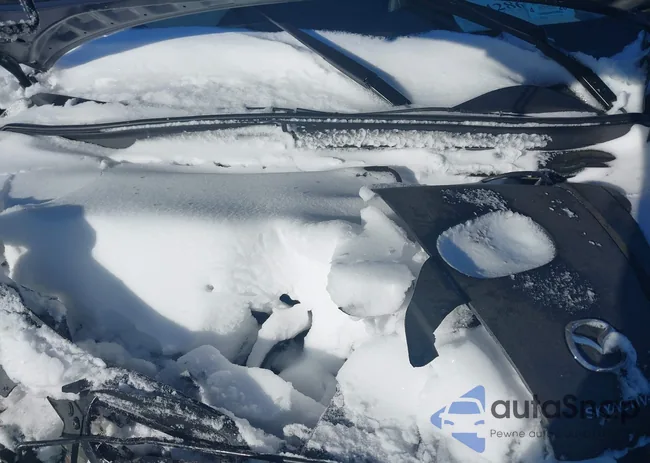 3MVDMBDL9MM311885: 44428687