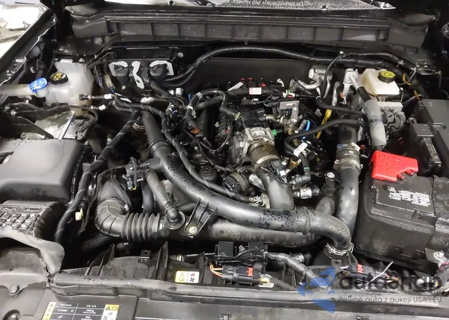 1FMEE5DP0PLB62212: 44429767