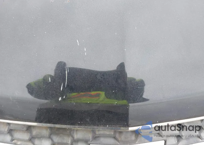 1G1PF5SC6C7351436: 44429800