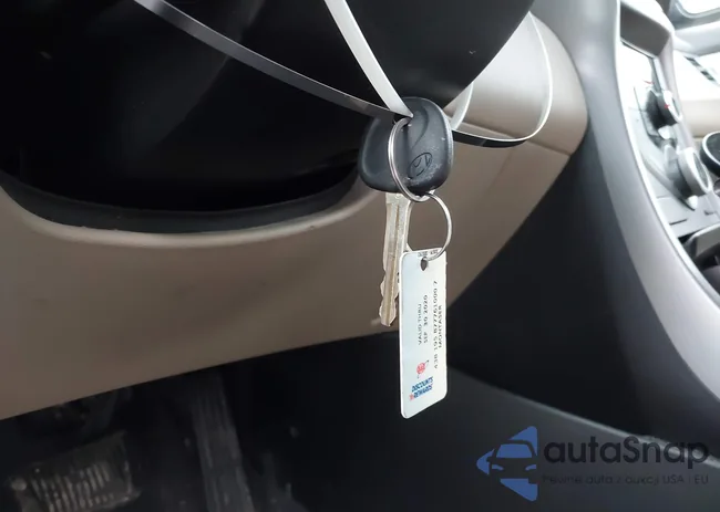 5NPDH4AEXFH597536: 44429865