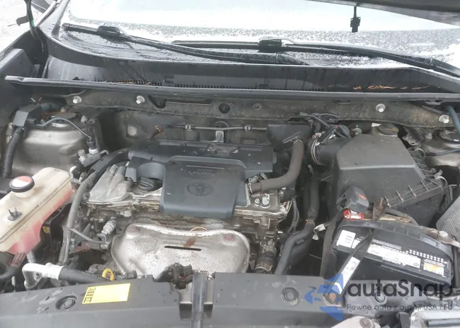 JTMBFREV2ED084371: 44429919