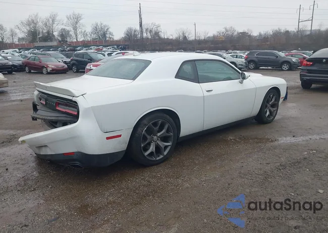 2C3CDZBG1FH705589: 44429569