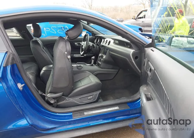 1FA6P8TH5J5170743: 44431060