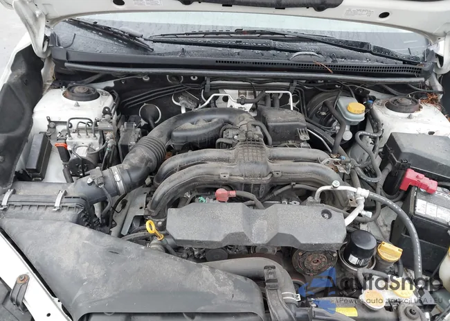 JF2GPADC4G8313425: 44430500