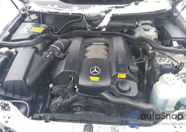 WDBJF82J51X059267: 44431838