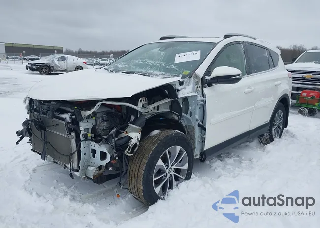 JTMRJREVXJD249610: 44431525