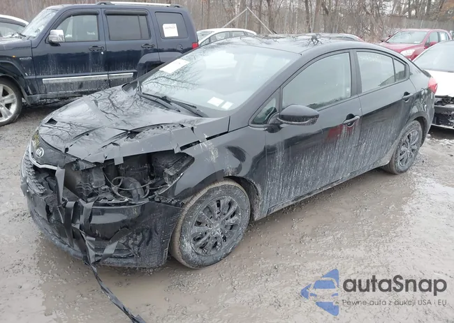 KNAFK4A62G5542368: 44432801