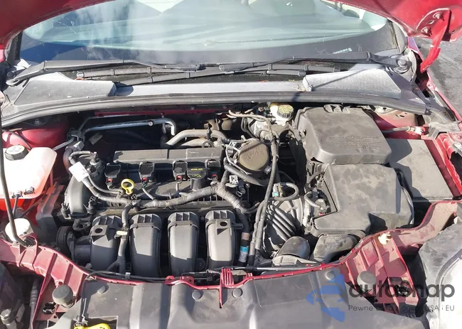 1FADP3K2XDL196178: 44432894