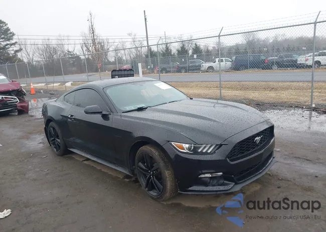 1FA6P8TH2G5259484: 44432941