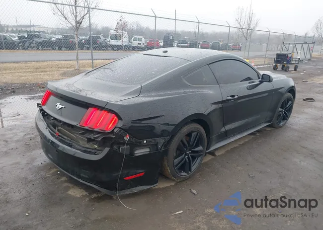 1FA6P8TH2G5259484: 44432941